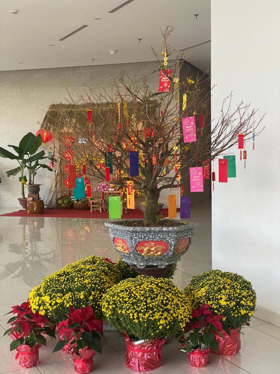Beachfront Scenia Bay Apartment 芽庄 外观 照片